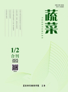 蔬菜杂志